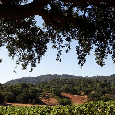 Casa Palmela - Small Luxury Of The World, & Hotel Setúbal