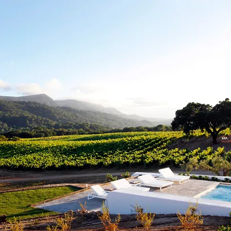 Casa Palmela - Small Luxury Of The World, & Отель Сетубал