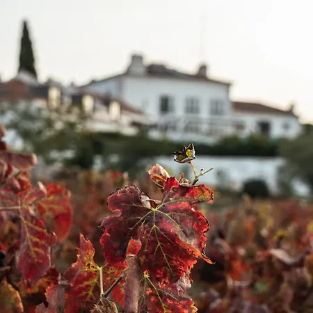 Casa Palmela - Small Luxury Of The World, &