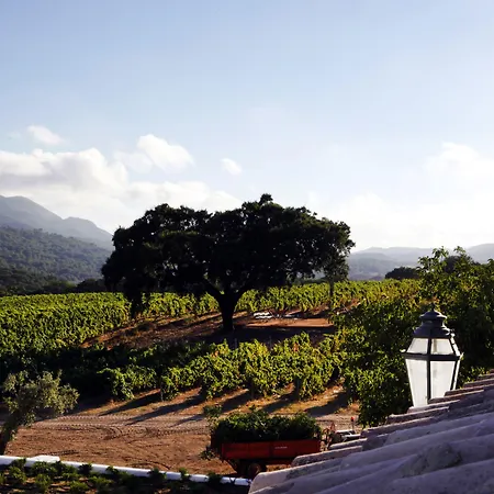 Hotel Casa Palmela - Small Luxury Of The World, &