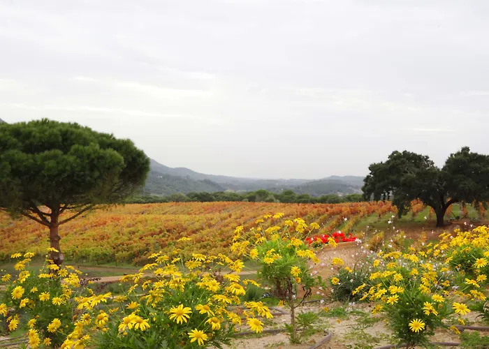 Hotel Casa Palmela - Small Luxury Of The World, & 5*