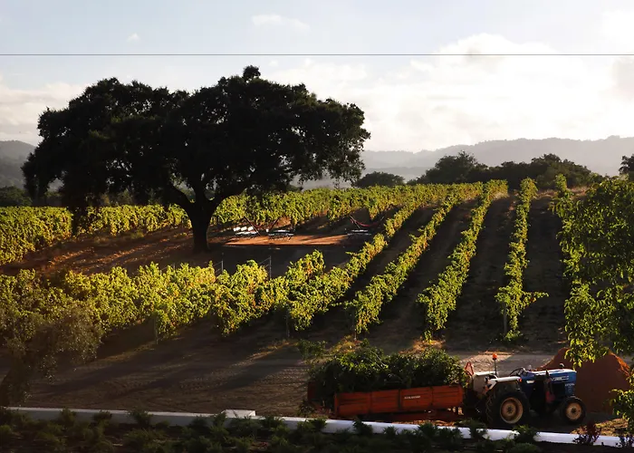 Casa Palmela - Small Luxury Of The World, & Setúbal